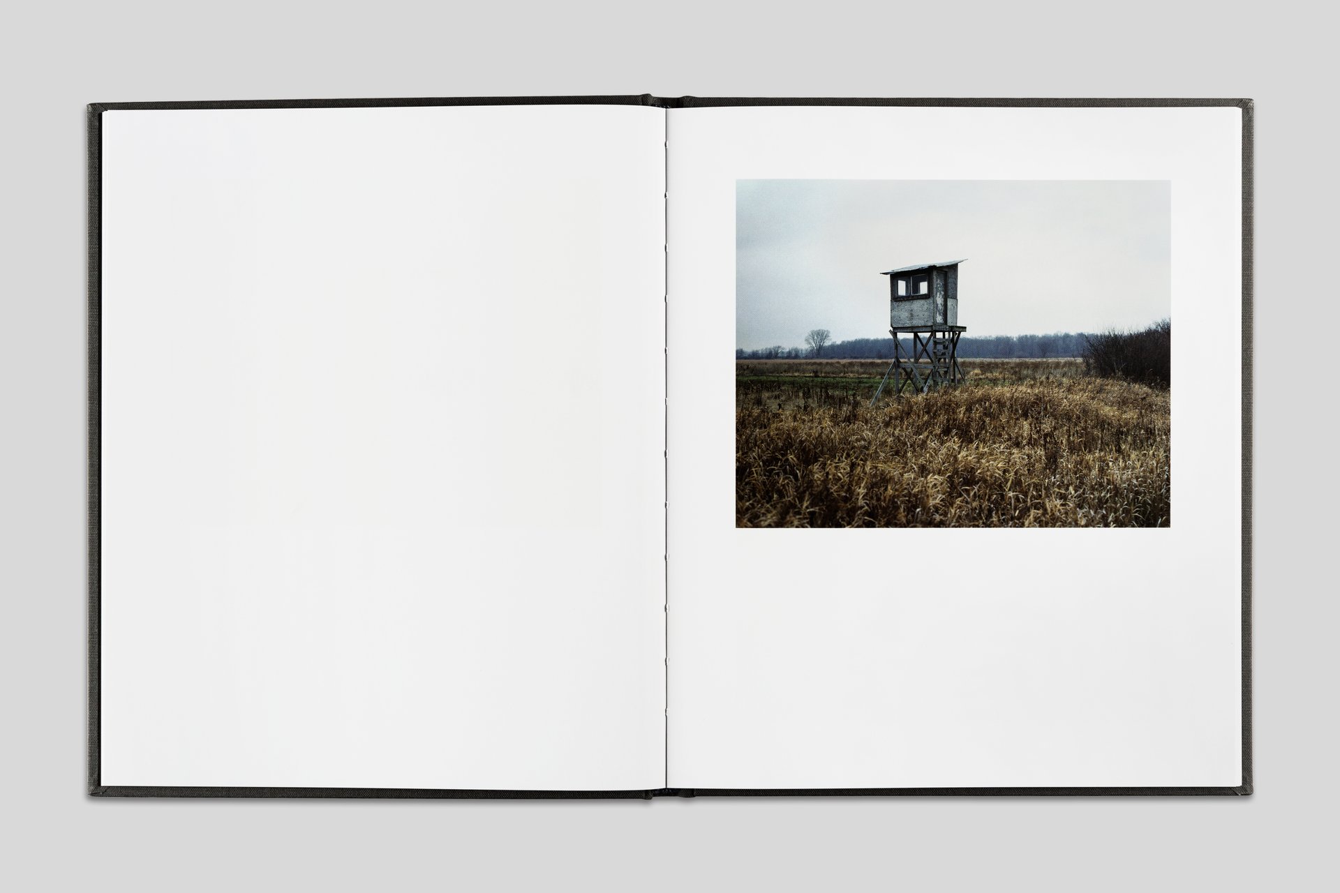 Hide by Jason Vaughn, spread